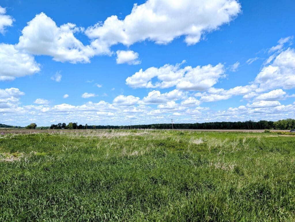 Kal-haven trail michigan nature summer hiking great lakes usa north america