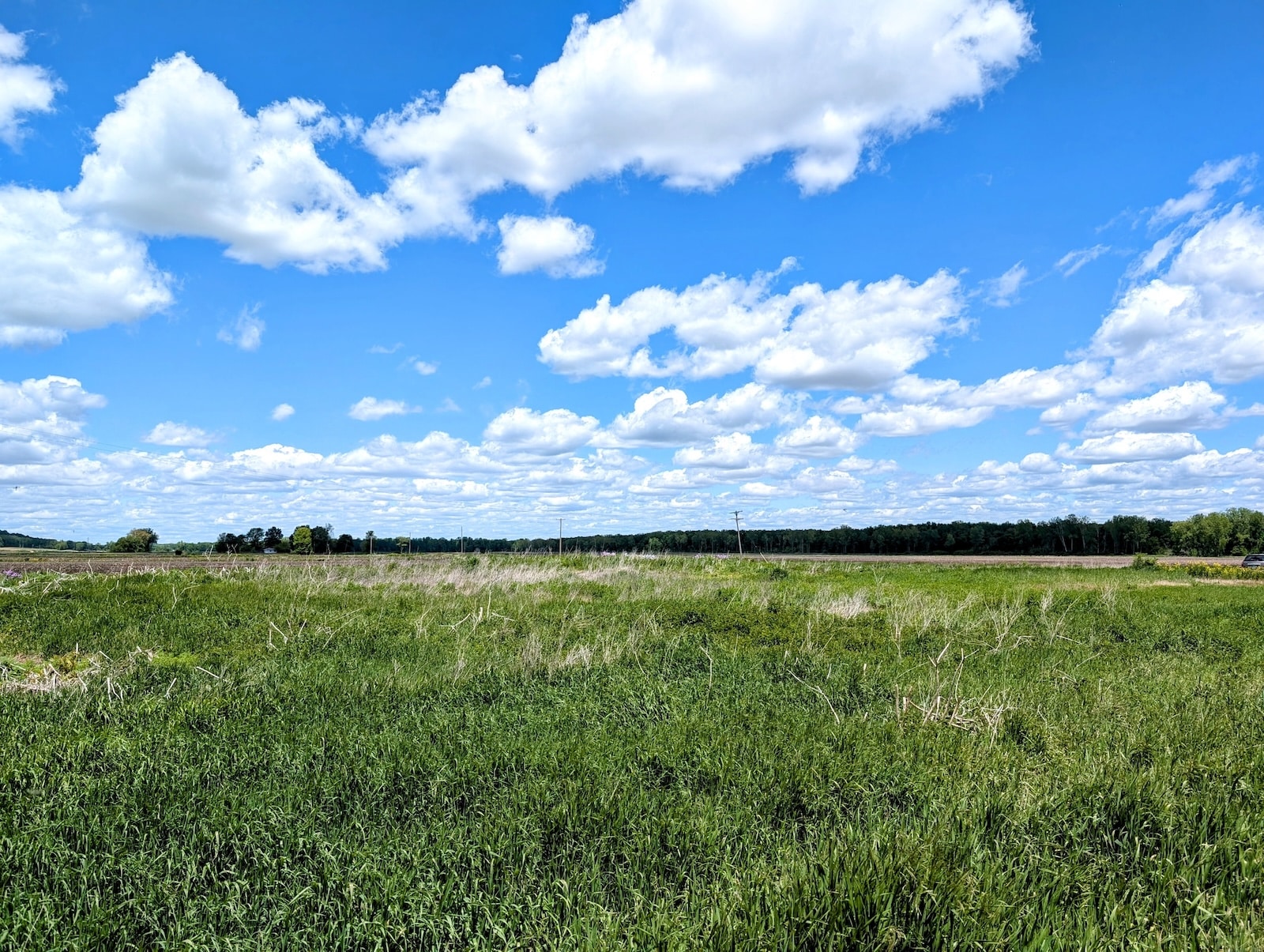 Explore the beauty of the kal haven trail near kalamazoo 1 Kal-haven trail michigan nature summer hiking great lakes usa north america
