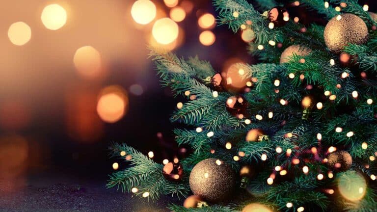 Kalamazoo house | top winter events & festivities in kalamazoo mi 2025 4