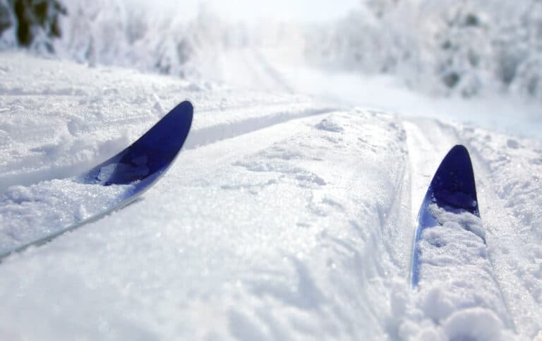 The tips of skis in snow, seen while cross-country skiing in michigan